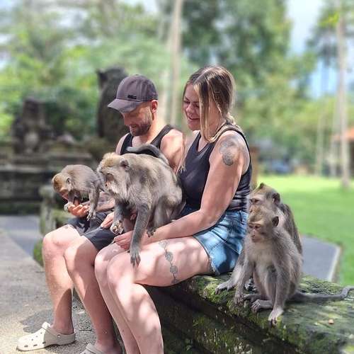 Sangeh Monkey Forest 3