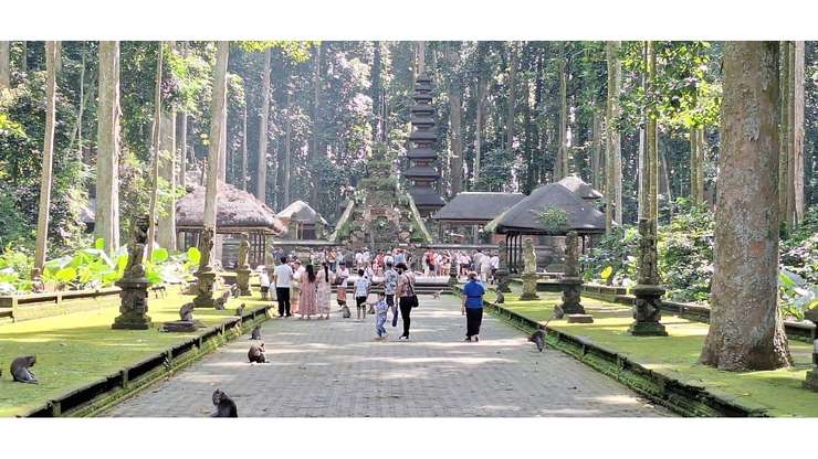 Sangeh Monkey Forest 2