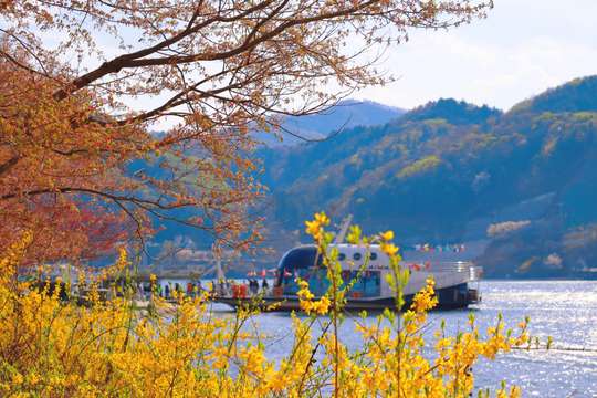 Nami Island + The Garden of Morning Calm One Day Tour