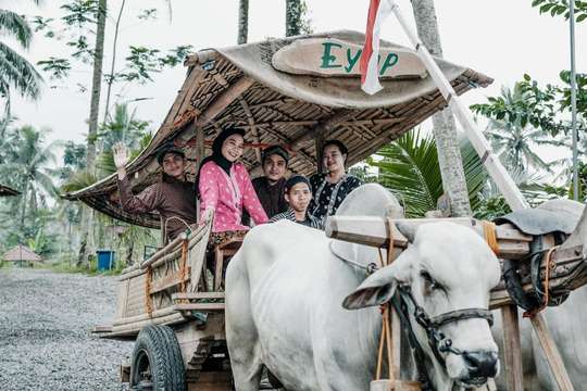 Pedati Oxcart Ride, THB 699.86