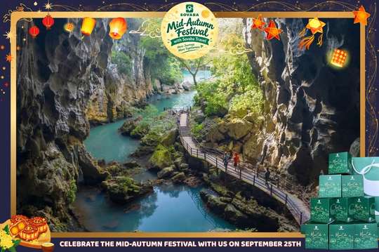 Phong Nha: Zipline Dark Cave & Paradise Cave Exploration