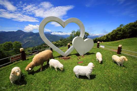 Nantou Qingjing Farm Green Green Grasslands Admission Ticket