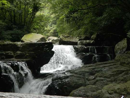 Tickets for Sanxia Full Moon National Forest Recreation Area in New Taipei City, RM 10