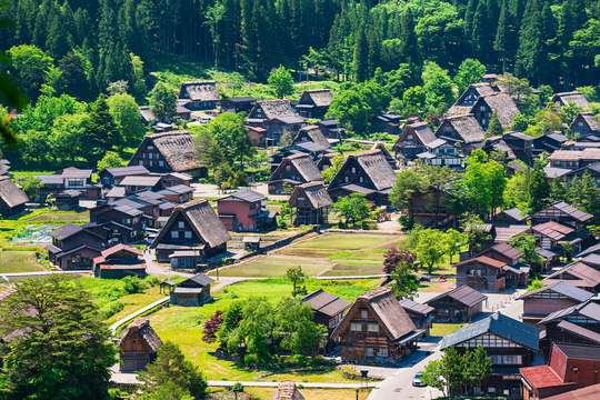 Shirakawa-go Village & Takayama UNESCO Tour - 1 Day