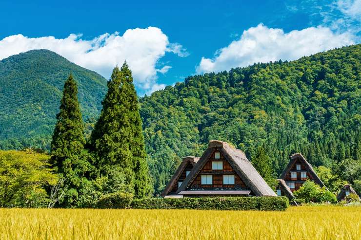 白川郷と高山 ユネスコツアー - 1日 2