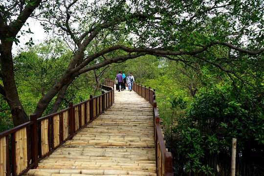 Tour Thành phố Surabaya Lựa chọn B