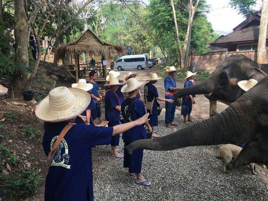HUG Elephant Conservation Camp + Long Neck Karen - Half-Day Tour (by CM Paradise Tour), 1.193.946 VND