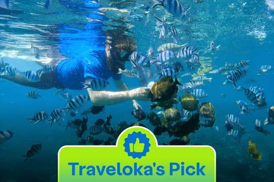 Snorkeling Tour in Blue Lagoon & Tanjung Jepun, Rp 225.000