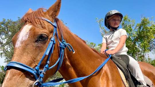 Horse Riding Byron Bay Beach Ride