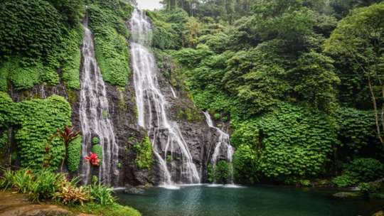 1-Day Tour North Bali Nature Escape, S$77