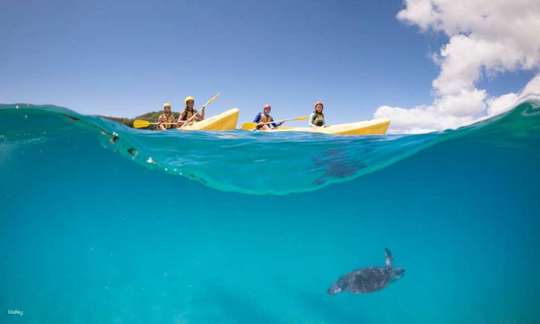 Byron Bay Dolphin Kayaking Tour | New South Wales