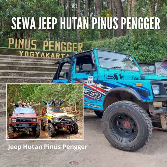 Sewa Jeep Hutan Pinus Pengger