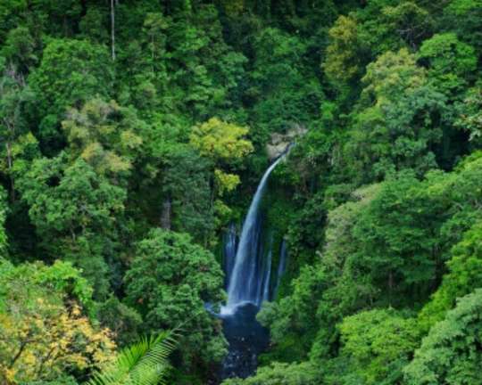 Sendang Gile and Tiu Kelep Waterfall Trip - 1 Day Tour, THB 2,143.90