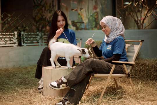 Just Farm by Just Pets Megastore Ticket
