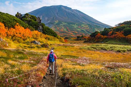 [Autumn Special] Discover Asahidake, Hagoromo Falls & Ropeway Experience from Sapporo
