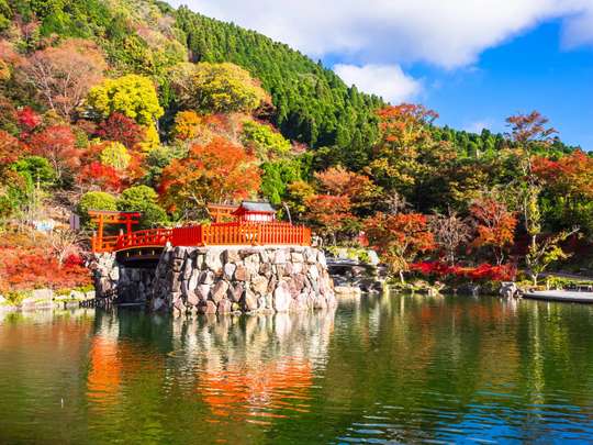 Tur Kelompok 1 Orang dari Osaka: Perjalanan Sehari ke Desa Beratap Jerami Miyama, Kuil Katsuoji & Kuil Arashiyama Nonomiya