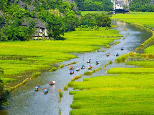 Ninh Binh Premium Tour (Hoa Lu, Tam Coc, Trang An, Mua Cave, Bai Dinh Pagoda) - 2D1N Tour