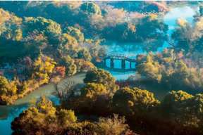 Hangzhou：Xixi Wetland (Private Gondola+Tea Tasting）