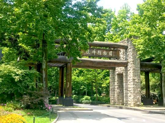 Hangzhou Botanical Garden Ticket, THB 23.62