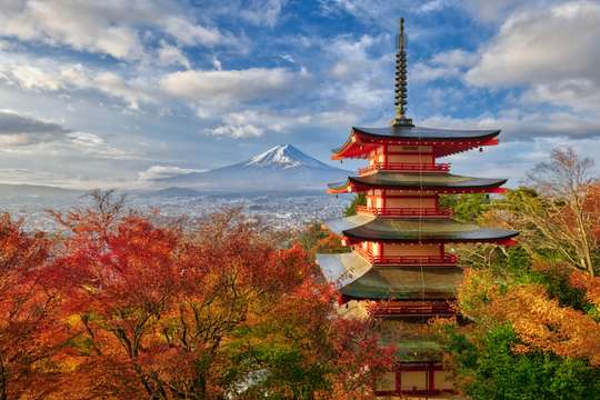 Mt. Fuji Highlight 7 Photo Spots One Day Tour from Tokyo