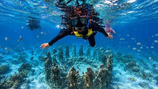 Snorkeling Trip Gili Trawangan, Gili Meno, and Gili Air, AU$279