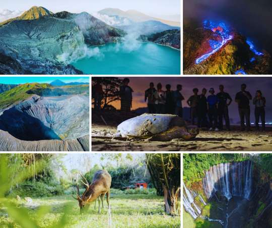 Bromo, Ijen, Tumpak Sewu & Sukamade Tour from Surabaya – Into East Java, Rp 8.000.000