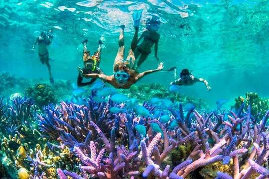 Private Tour: Blue Lagoon Snorkeling & Kanto Lampo Waterfall, Rp 725.000
