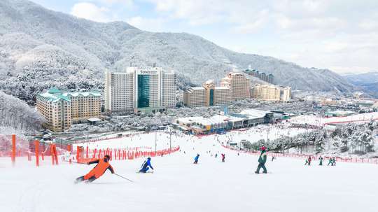 Vivaldi Park Winter Ski + Eobi Ice Valley Day Tour from Seoul