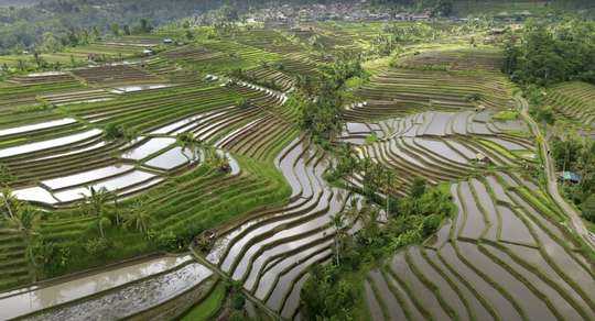 Jatiluwih Bike Tour Expedition — Full Day Individual tour, RM 1,141