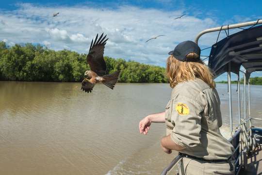 Adelaide River Jumping Crocodile Cruise from Darwin