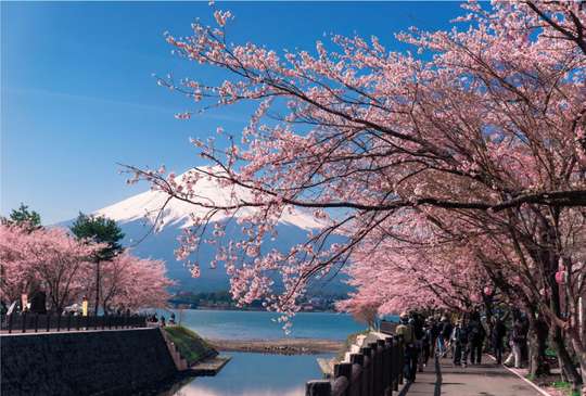 Tiket [Berangkat dari Ueno/Shinjuku] Gunung Fuji, Oshino Hakkai & Outlet Premium Terbesar di Jepang – Tur Bus Sehari Penuh dengan Makan Siang Opsional!