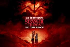 Stranger Things: The First Shadow Broadway Show Ticket in New York
