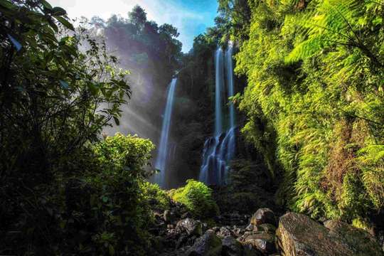 Entrance Ticket Sekumpul Waterfall View Point + Lunch at Hanging Restaurant, 1,341円
