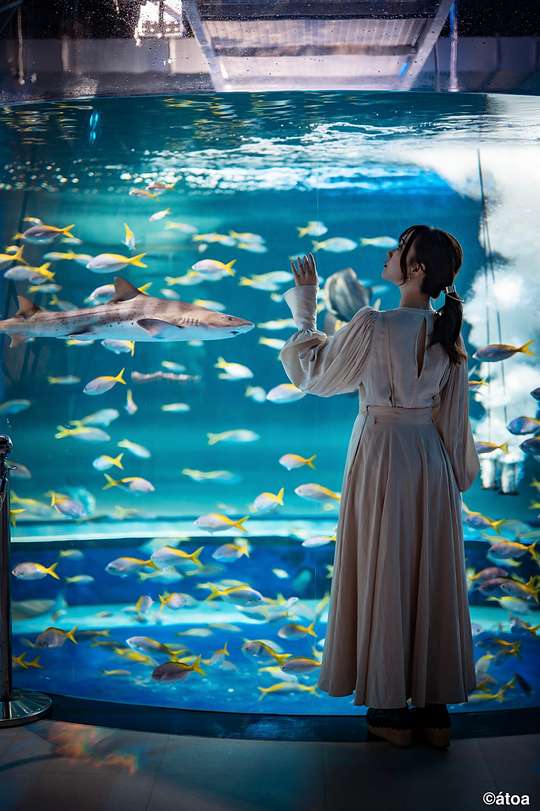 Set Tiket Masuk Kobe Urban Aquarium AQUARIUM×ART átoa + Hankyu 1-Day Pass, Rp 427.641