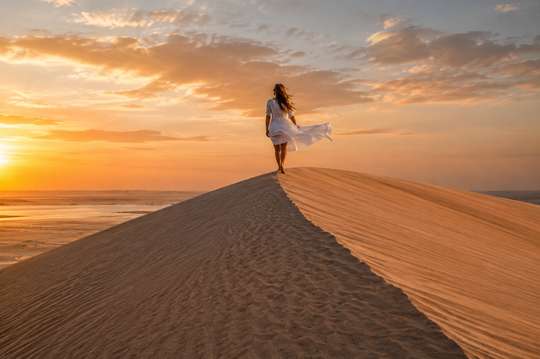 Doha: Private Layover and Transit Desert Safari Tour from Hamad International Airport DOH, AU$355