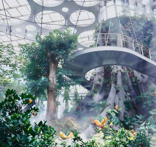 Avatar Rainforest in Shanghai -Greenhouse Garden Ticket, ₱ 1,306.70