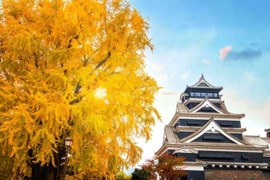 Kumamoto Autumn Day Tour: Kikuchi Gorge, Kumamoto Castle & Suizenji Garden (from Fukuoka)