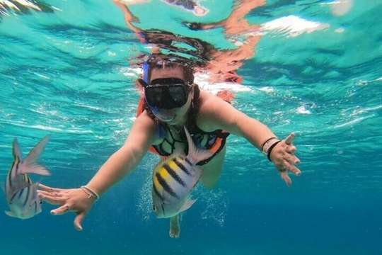 Snorkeling at Pigeon Island Trincomalee