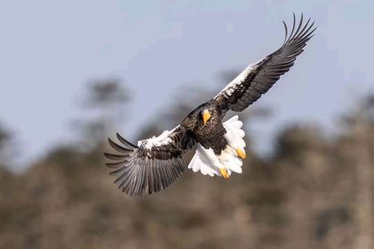 4-Day Birdwatching & Photograph Tour in Rift Valley, 27.291.600 VND