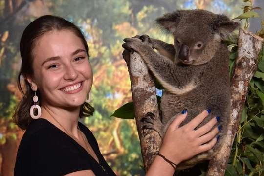 Cairns Koalas and Creatures at the Pier Ticket, S$58
