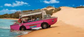 1770 LARC Tour from Agnes Water | Australia