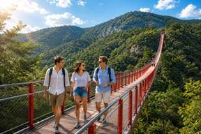 DMZ Insider Tour: North Korea Defector Q&A, 3rd Tunnel & Bridge options