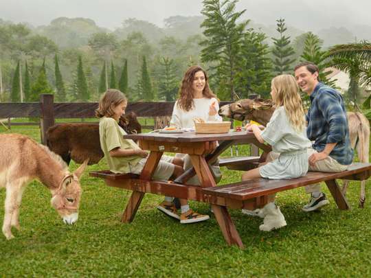 Picnic With Donkey at Bali Farm House Tickets, 761.654 VND