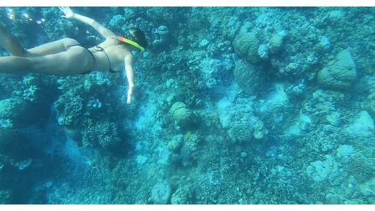 Gili Trawangan Snorkeling Trip by Private Boat, THB 746.60