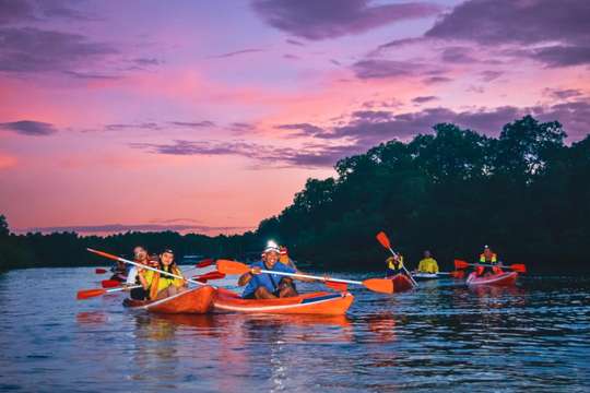 Mangrove Canoe Adventure : A Canoe Tour by Day or Evening, 1.218.781 VND