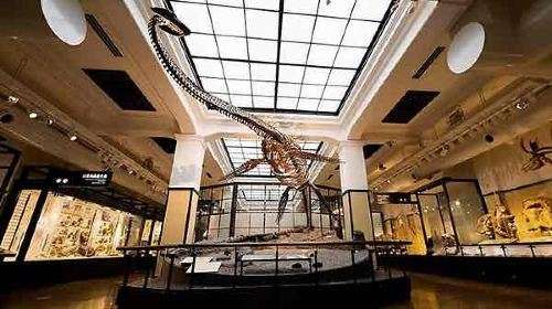 National Museum of Nature and Science, S$5