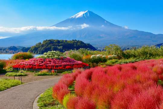 Mt. Fuji Signature 6 Scenic Spots One Day Tour from Tokyo