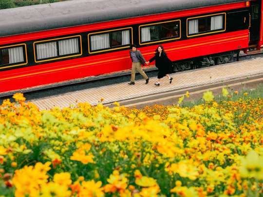 Euro Garden Da Lat Tickets, 3,631원
