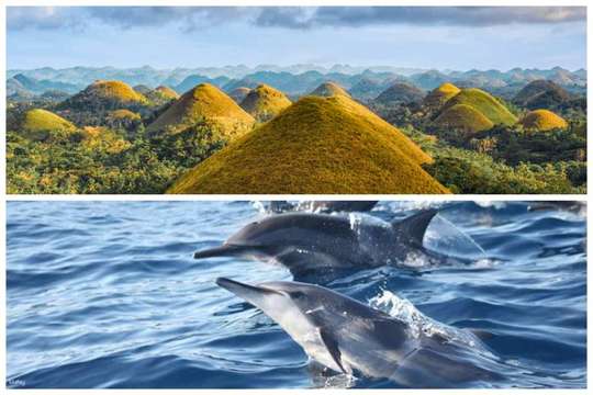 2-in-1 Bohol Bundle Tour : Countryside & Island-Hopping Tour with Bohol Tagbilaran Airport /Seaport Transfers, 5.589.355 VND
