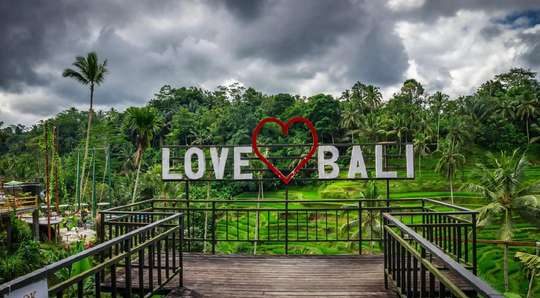 Private Charter Bali: Free to Choose Destinations in Ubud Kintamani + Driver, RM 29